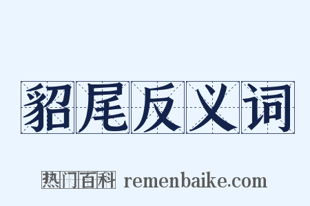 貂尾反义词是什么意思的图片